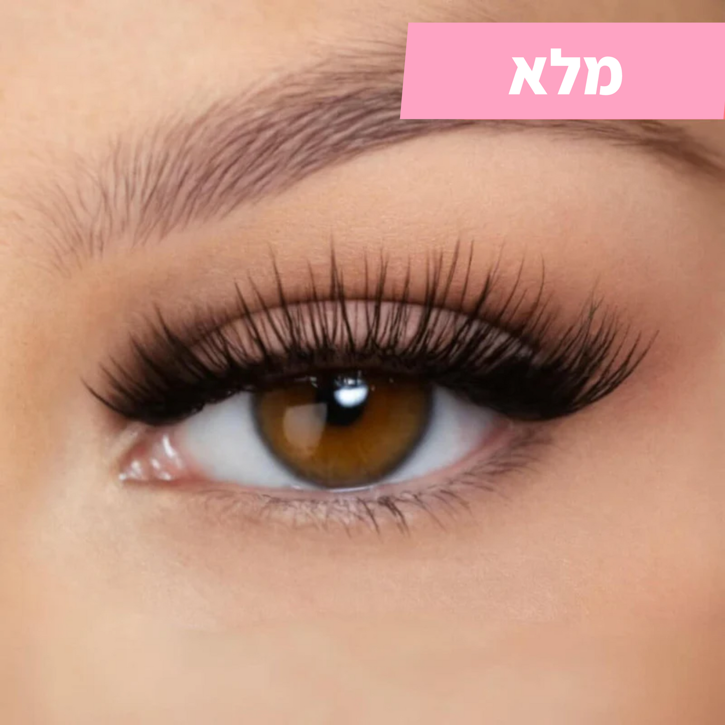 ריסים מגנטיים