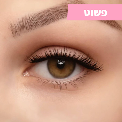 ריסים מגנטיים